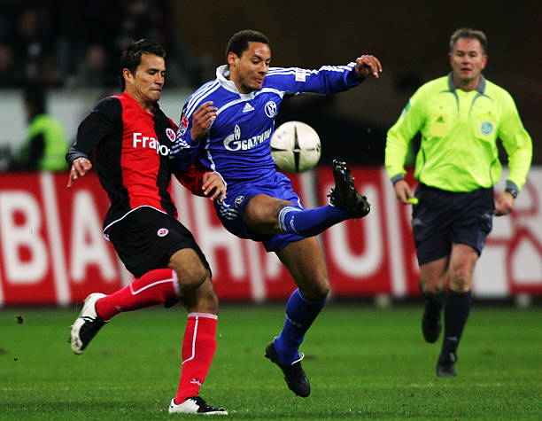 强的参考价 强的参考价